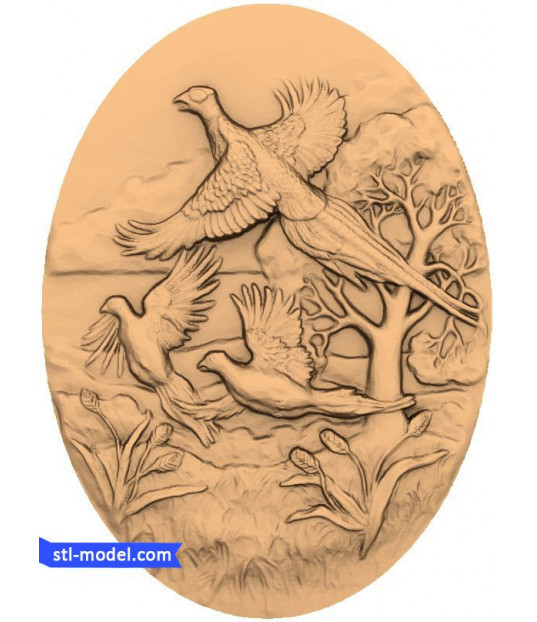 Harmony in Flight