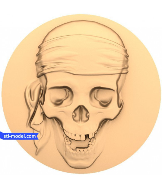 Pirate Skull Relief