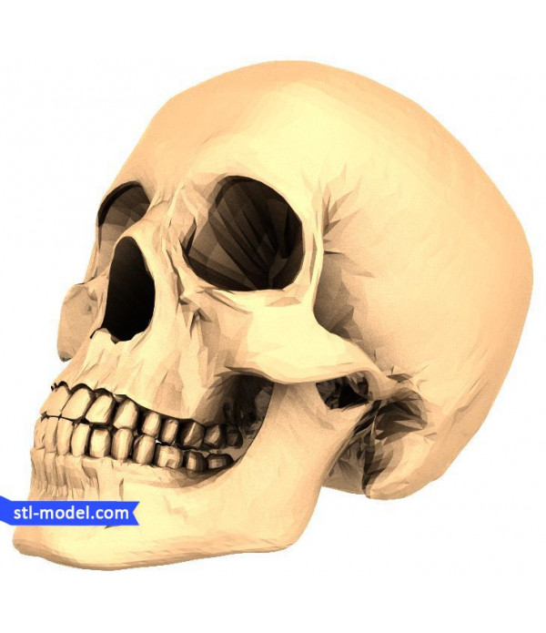 Statuette "Skull" | STL - 3D model for CNC