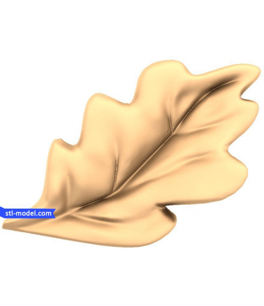Majestic Oak Leaf