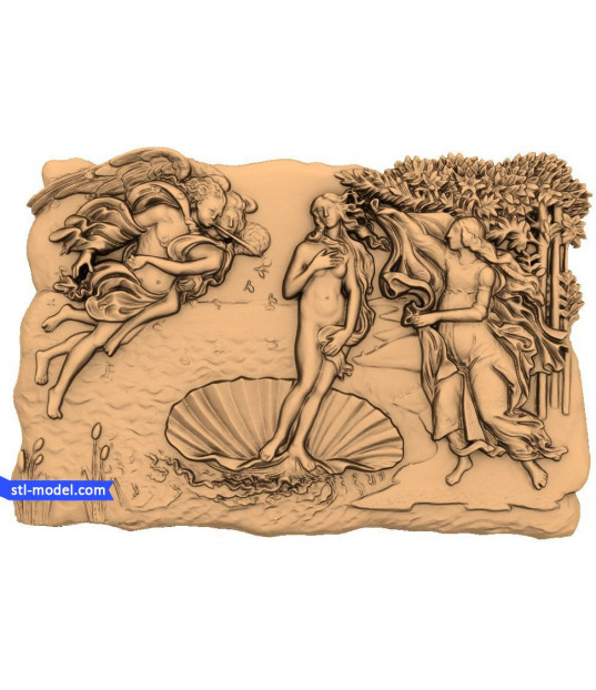 Awakening of Venus