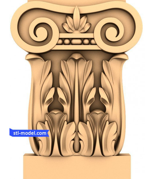 Elegant Ionic Capital