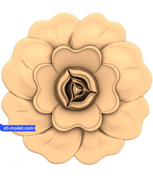 Tudor Blossom