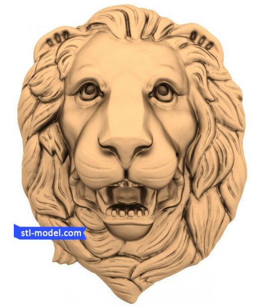 Majestic Lion Head