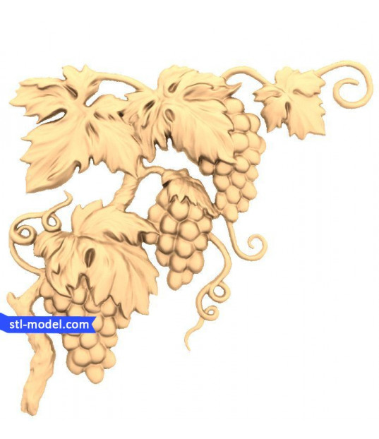 Vineyard Elegance