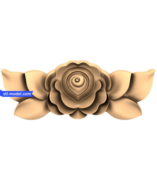 Rosetta Blossom