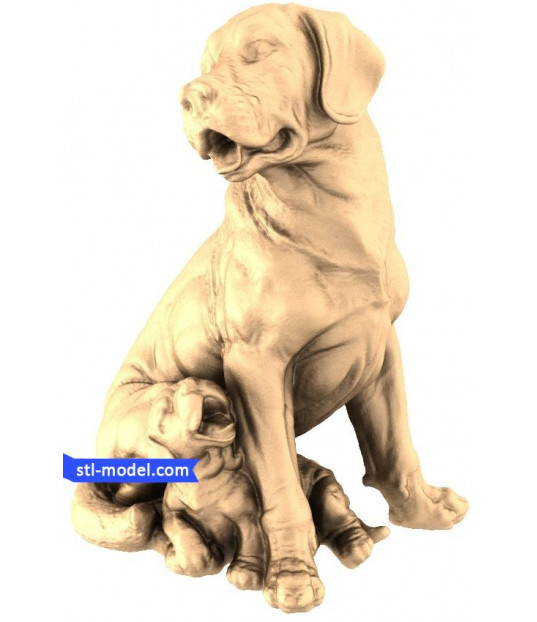 Mother Dog and Puppies