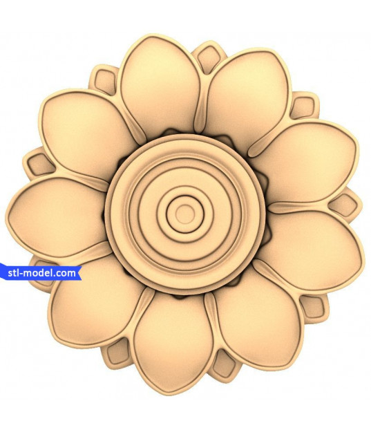 Petal Harmony