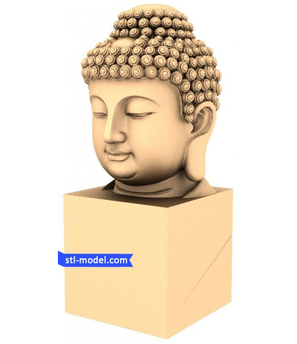 Buddha head-Buddha head