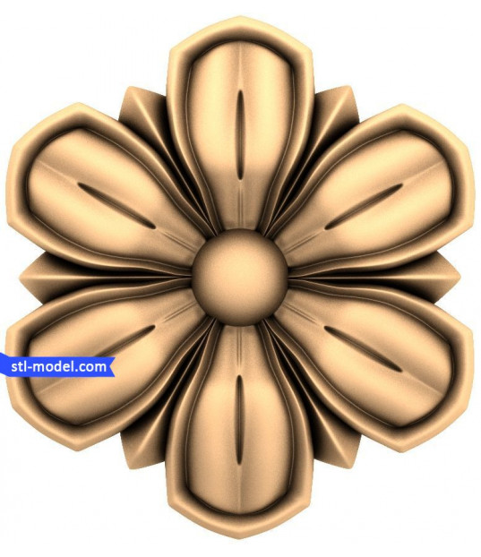 Petal Blossom