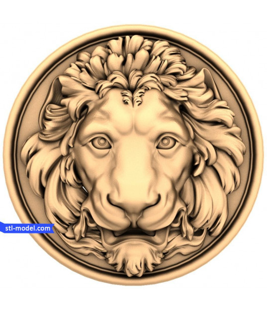 Lion's Majesty