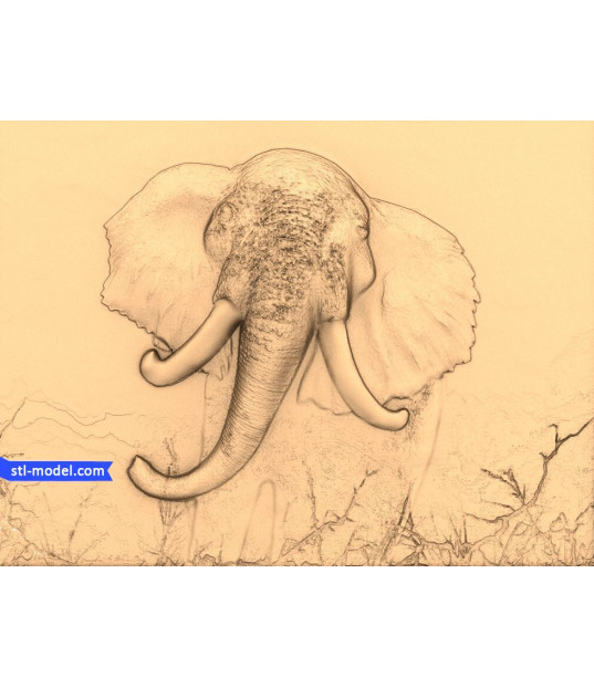 Majestic Elephant Head