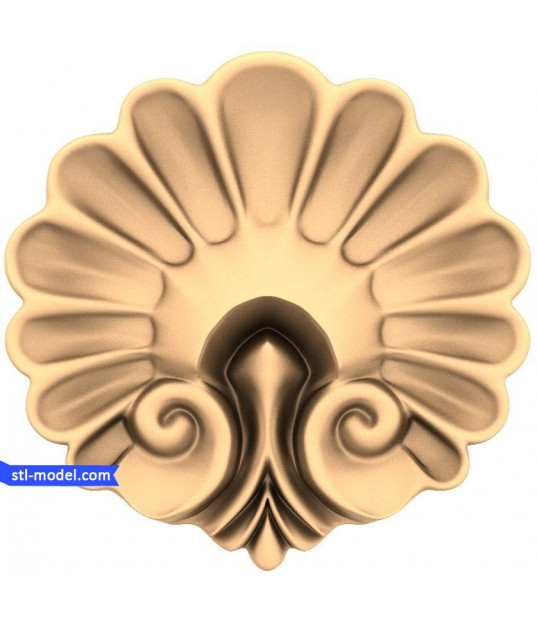 Elegant Shell Rosette