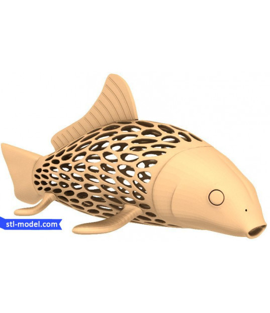 Lattice Koi