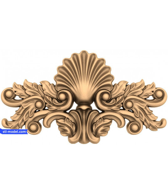 Shell Elegance
