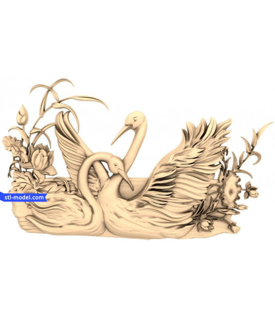 Elegance of Swans
