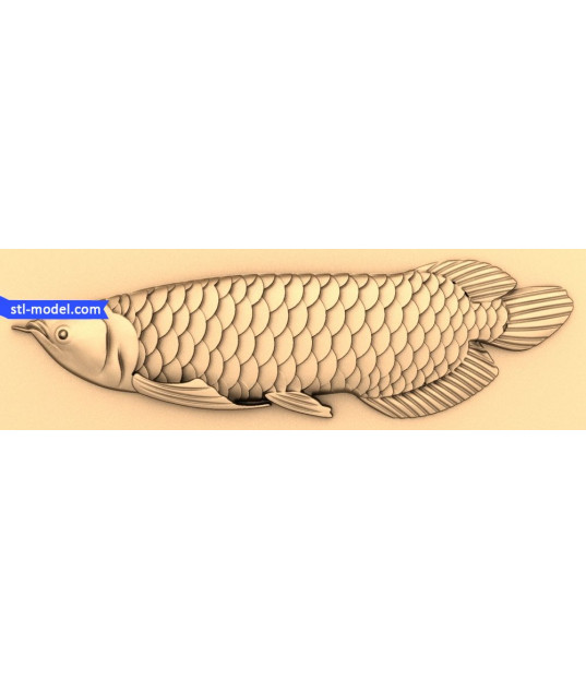 Majestic Arowana