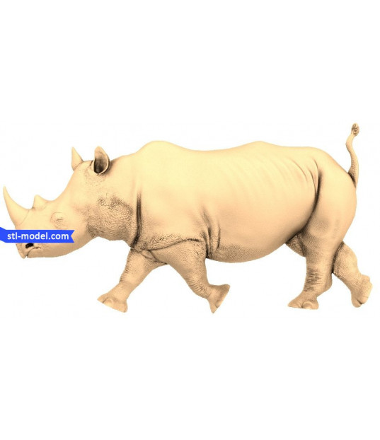 Majestic Rhino