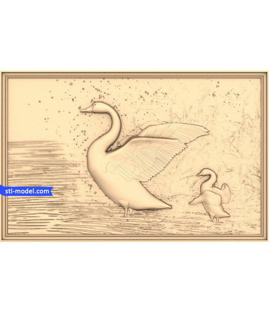 Elegant Swan Serenity