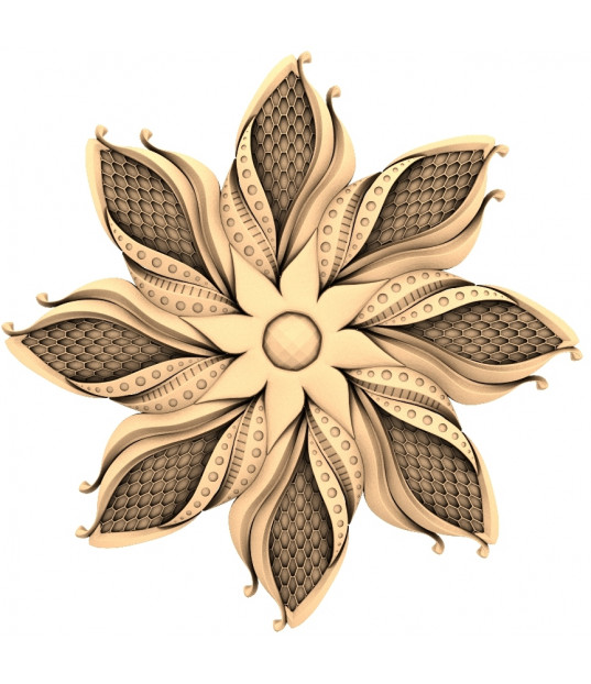Lotus Blossom Elegance