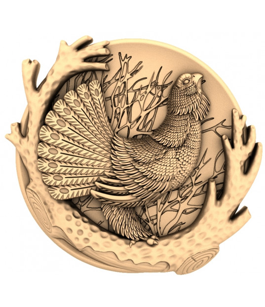 Capercaillie Majesty