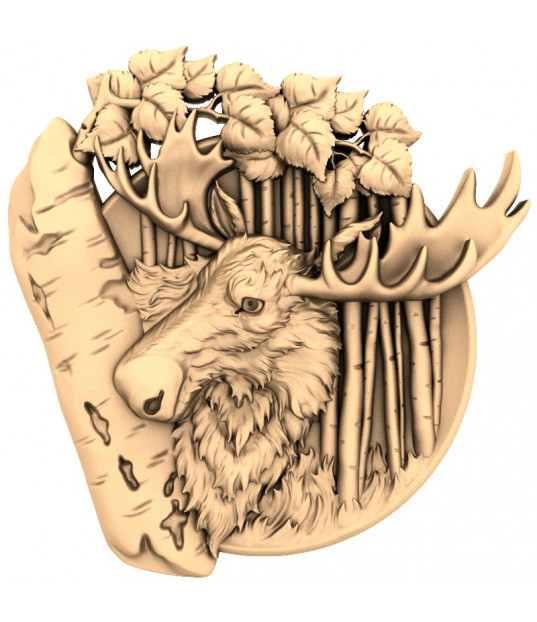 Majestic Forest Elk