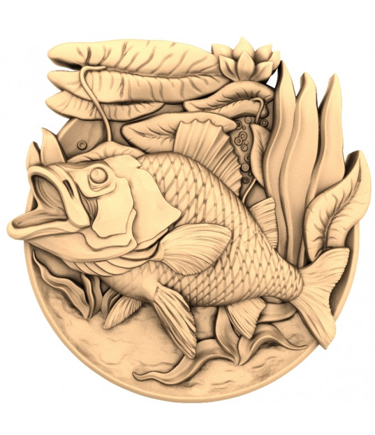 Golden Carp Serenity