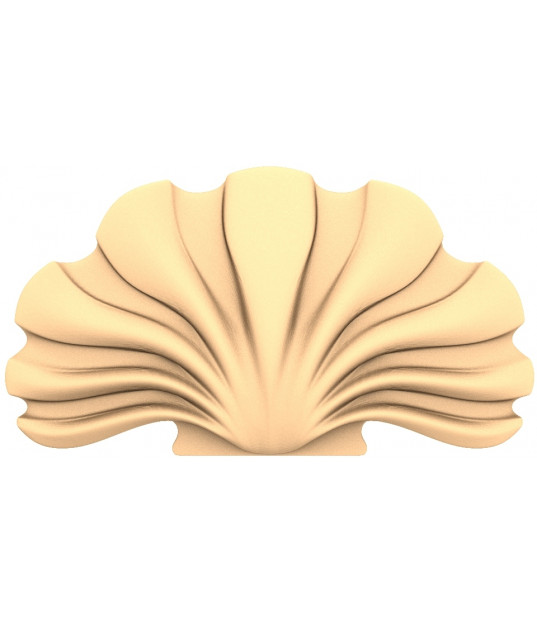 Shell Elegance 3D Design