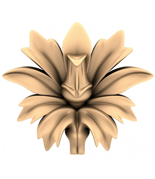 Ornamental Blossom