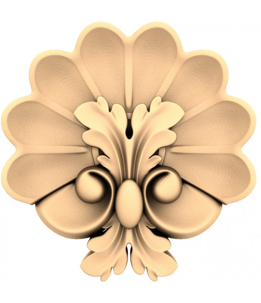 Shell Flourish