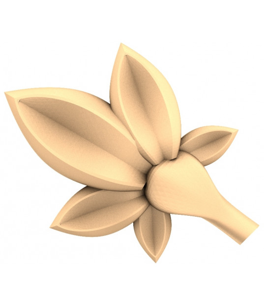 Floral Elegance