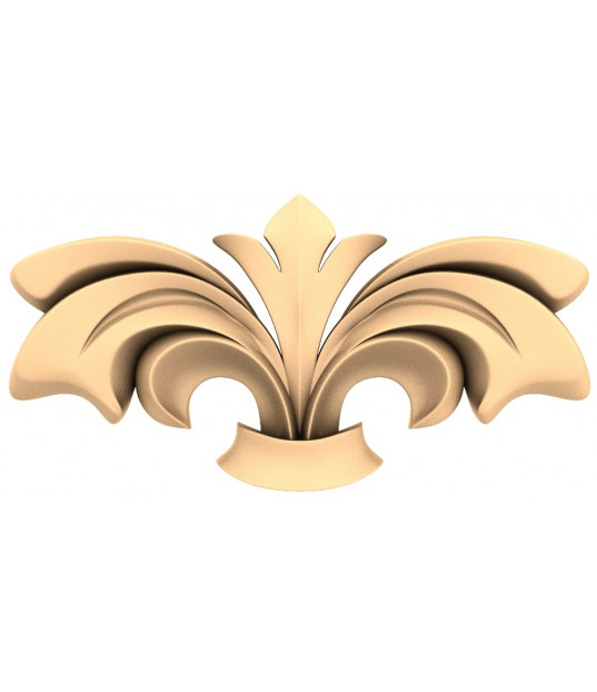Acanthus Grace