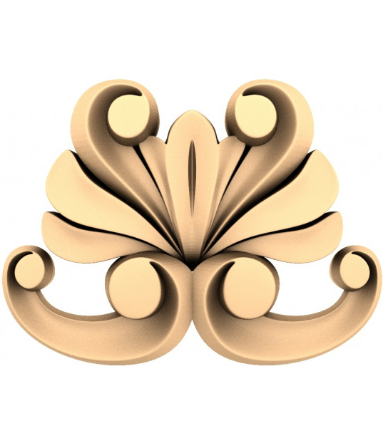 Floral Symmetry