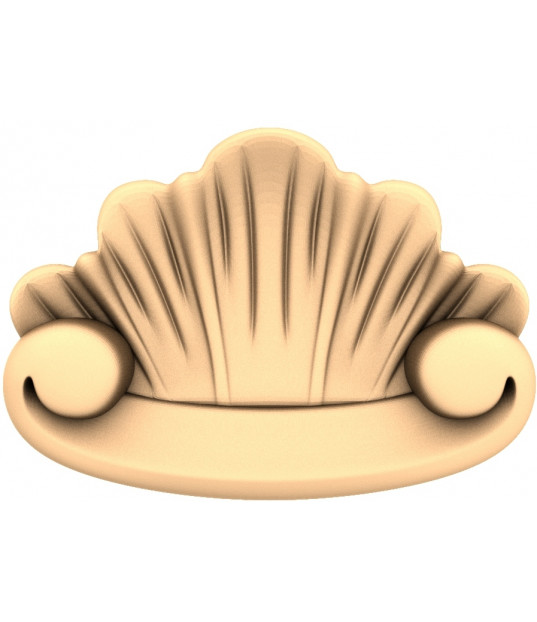Shell Splendor