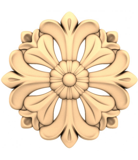 Floral Radiance