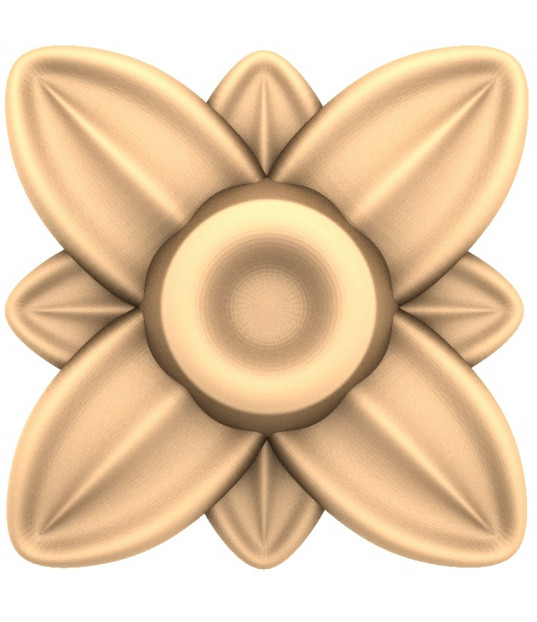 Flourishing Blossom