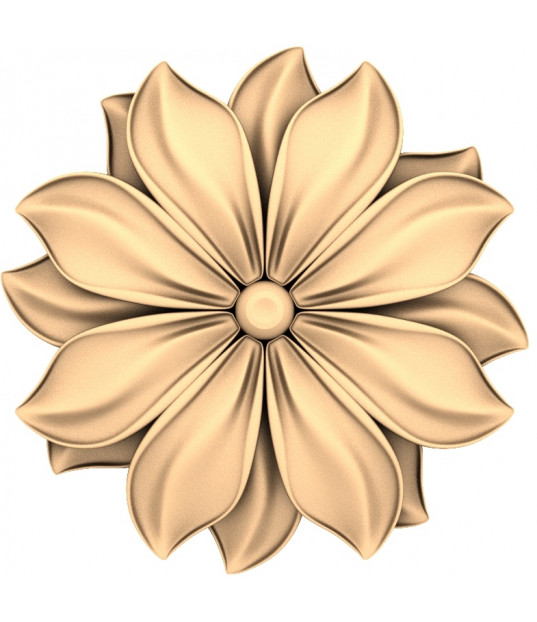Golden Bloom
