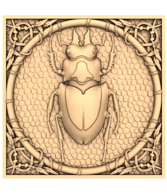 Beetle Majesty