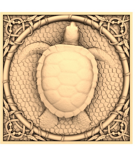 Turtle Harmony