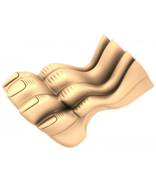 Lion's Paw Relief