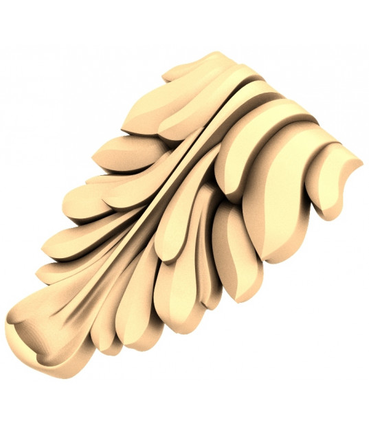 Floral Acanthus Leaf