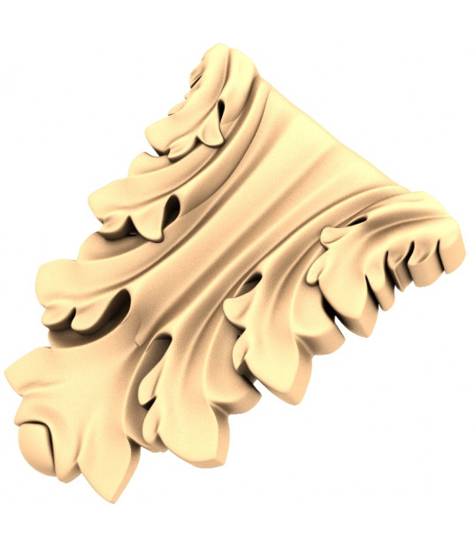 Elegance Unfurled