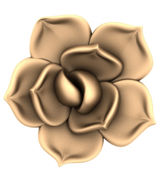 Golden Rose