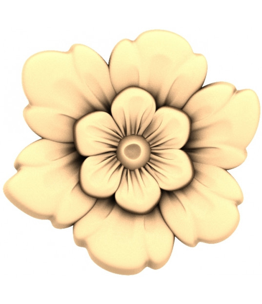 Floral Harmony