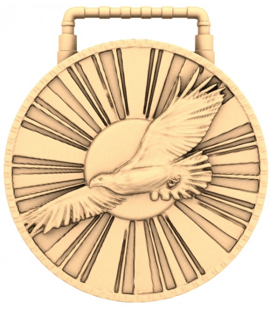 Soaring Radiance