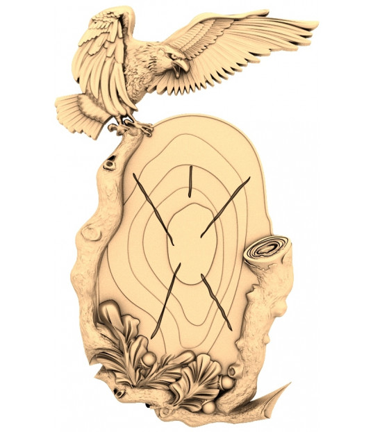 Eagle's Vigil