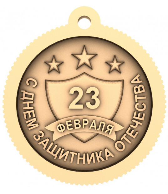 Defender's Medal