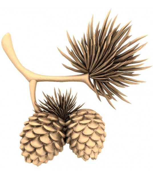 Pine Cone Elegance