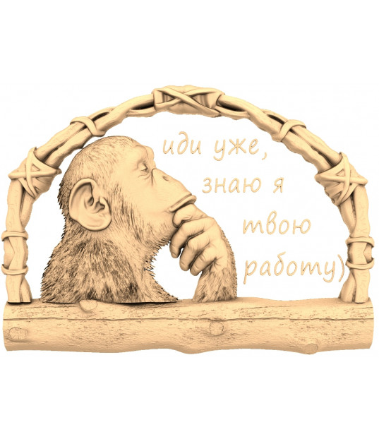 Wise Ape Reflection