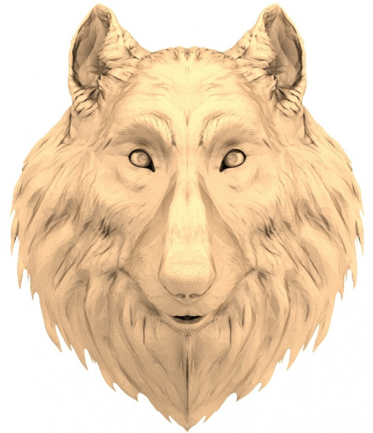 Majestic Wolf Head